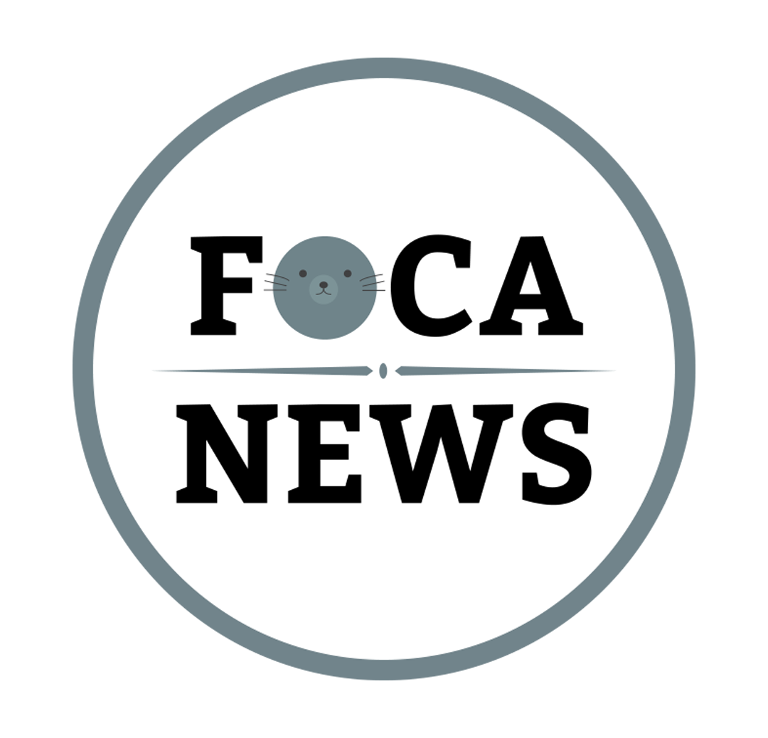 Blog Foca News